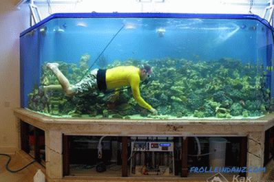 Ako urobiť akvárium vlastnými rukami