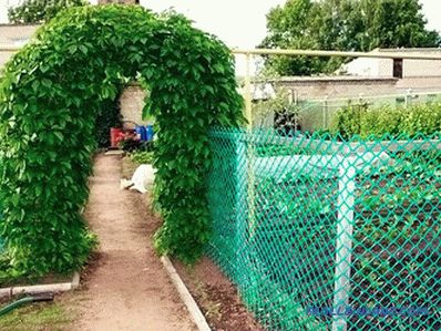 Ako si vybrať záhradné pletivo pre plot